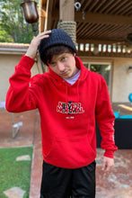 Load image into Gallery viewer, FALSE